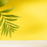 How to Spot Fake Organic Products