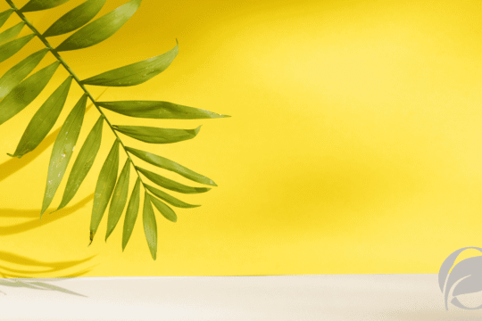 How to Spot Fake Organic Products