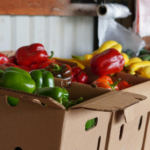 Organic Certifications Explained USDA, EU & Beyond