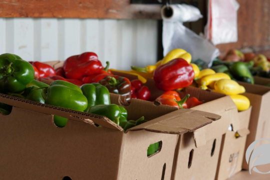 Organic Certifications Explained USDA, EU & Beyond