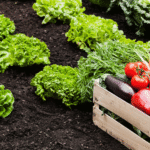 future trends in organic agriculture - organic food guides