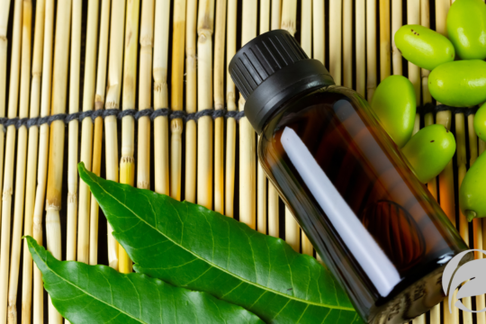 is neem oil organic - organic food guides