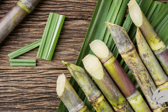 Is Organic Cane Sugar Healthy