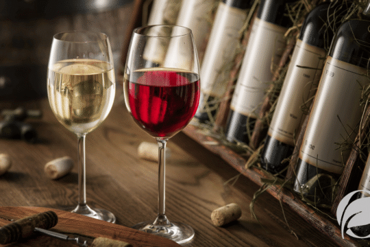 Best Organic Wine & Beer Options 2026 - Blog Banner