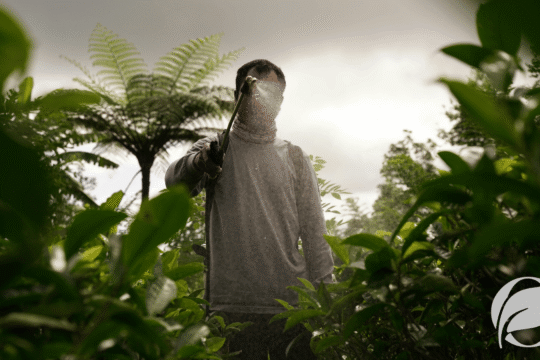 What pesticides are used in organic farming