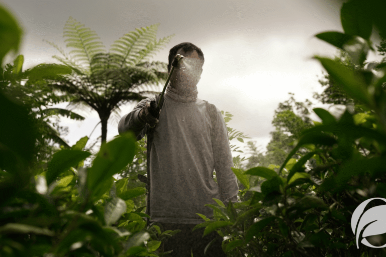 What pesticides are used in organic farming