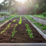 organic garden plant food - blog banner