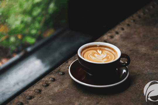 Organic Coffee Brands -Organic Food Guides