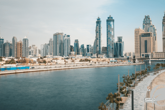 Organic Food in Dubai