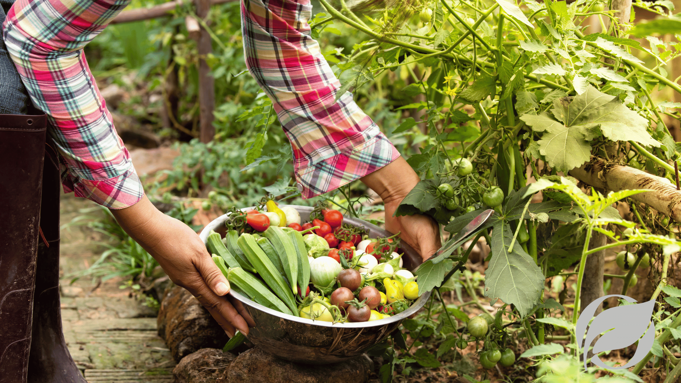 How to Build a Bee-Friendly Organic Garden at Home