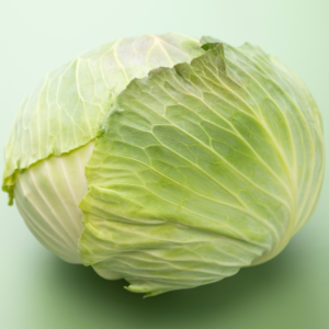 Cabbage