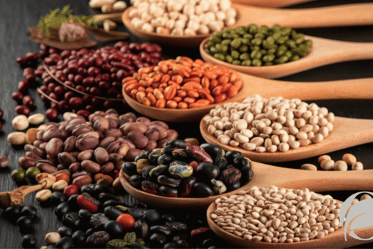 organic lentils and beans