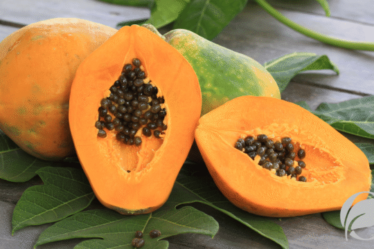 Papaya