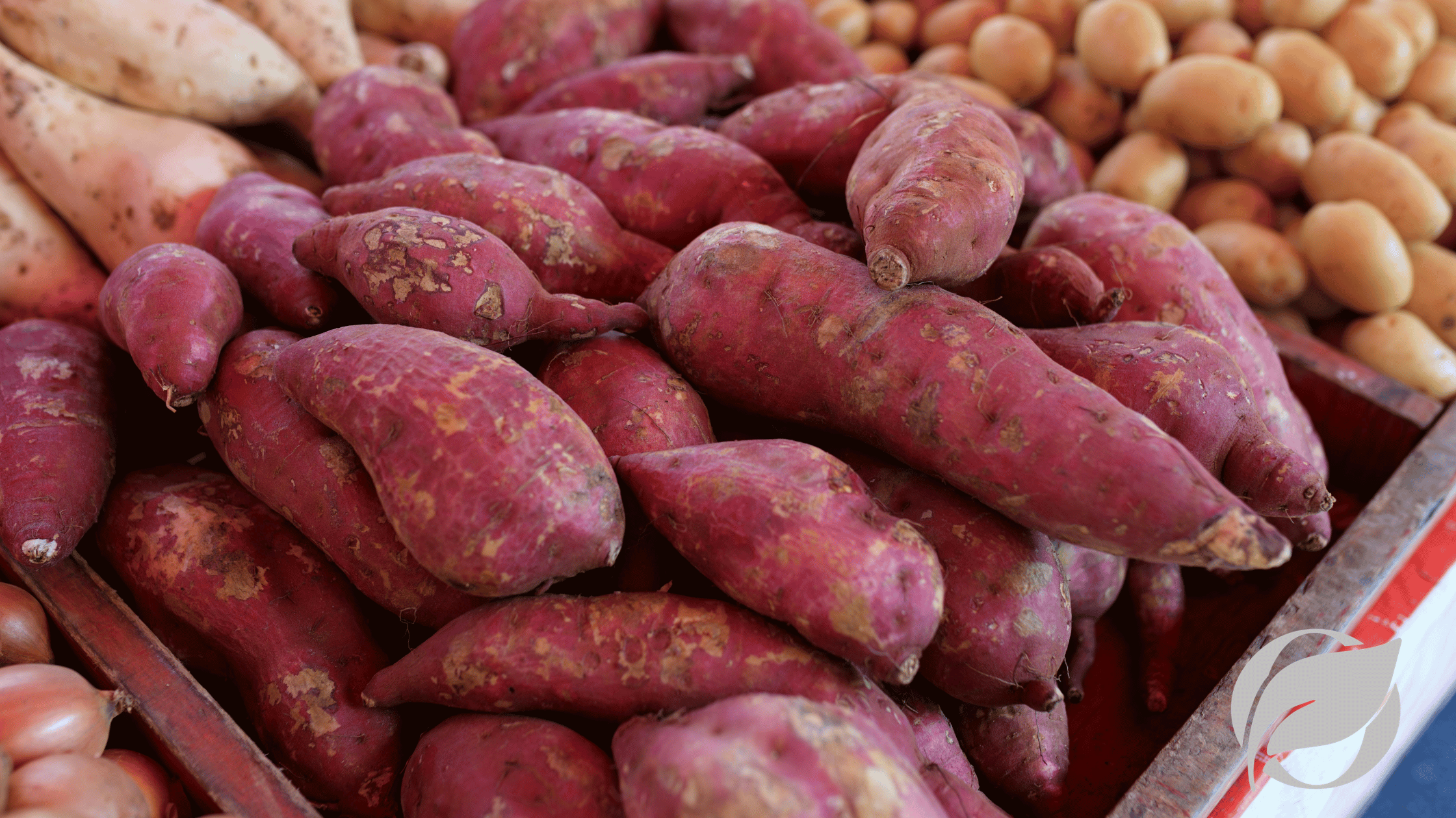 Sweet Beta Sweet Potatoes: Nutrition, Beta-Carotene Benefits and Organic vs ...