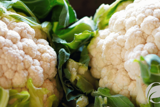 cauliflower
