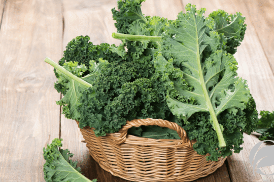 Kale, Collard, and Mustard Greens