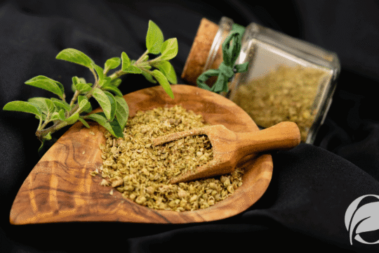 oregano health benefits