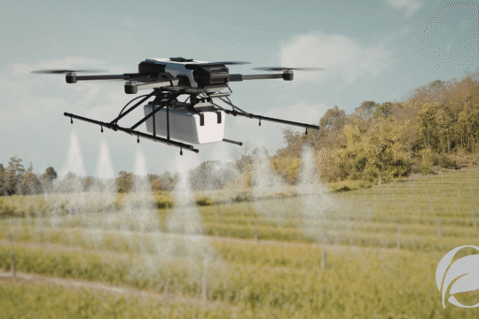 Regenerative Organic Agriculture: The Future of Farming