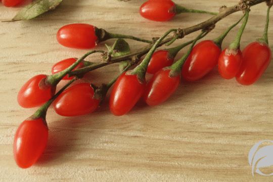 goji berries