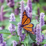 Neonicotinoids and Pollinators: The Devastating Impact Explained