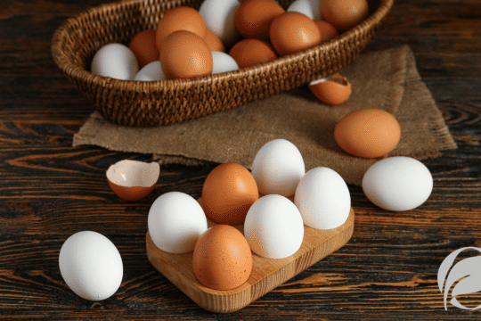 organic eggs