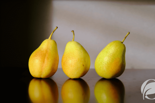 Organic Pears: Nutrition, Benefits, and Why to Buy Organic