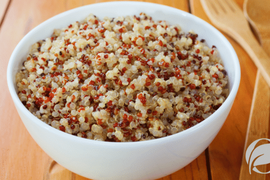 organic quinoa nutrition
