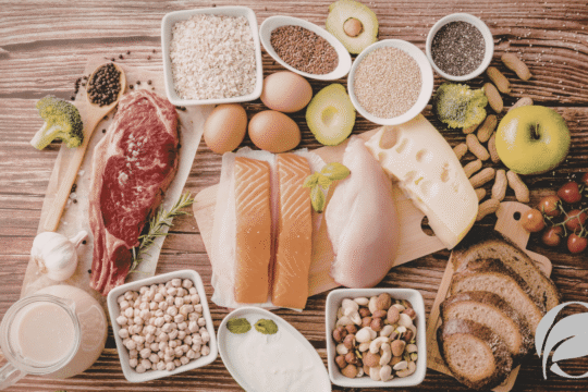 Choline Rich Foods: Best Organic Sources for Brain and Liver Health