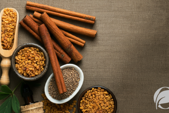 herbs for blood sugar
