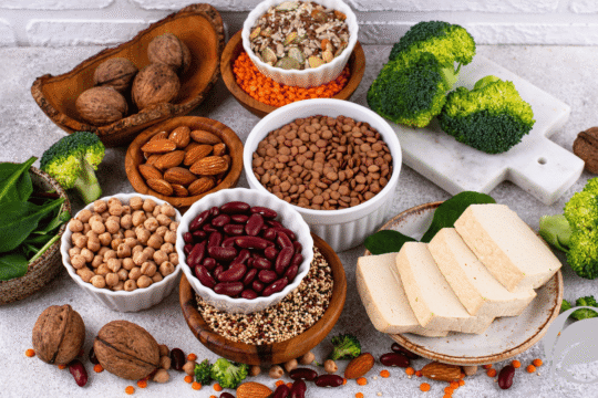 plant-based organic protein