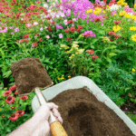 organic compost for lawn