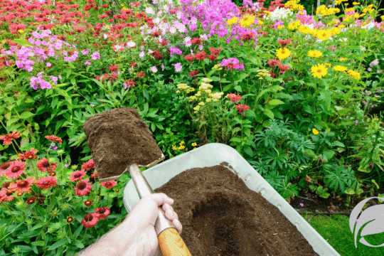 organic compost for lawn