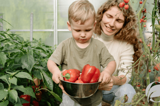 organic vegetables for kids