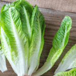 romaine lettuce nutrition