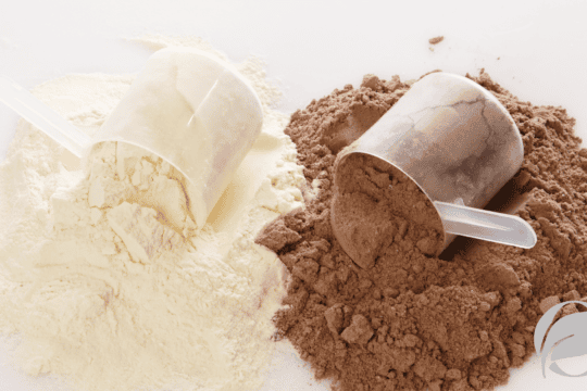 casein vs whey protein