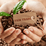 fair trade organic coffee