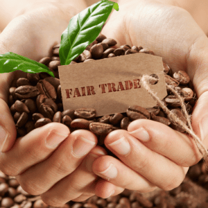 fair trade organic coffee