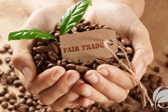 fair trade organic coffee