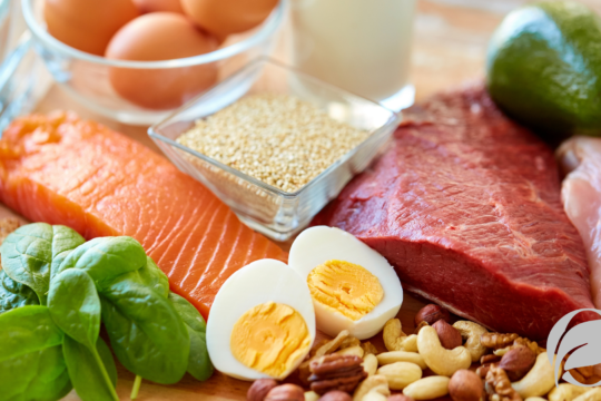 high protein organic foods