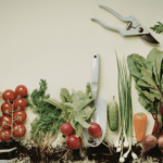 natural vs organic