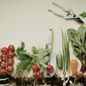 natural vs organic