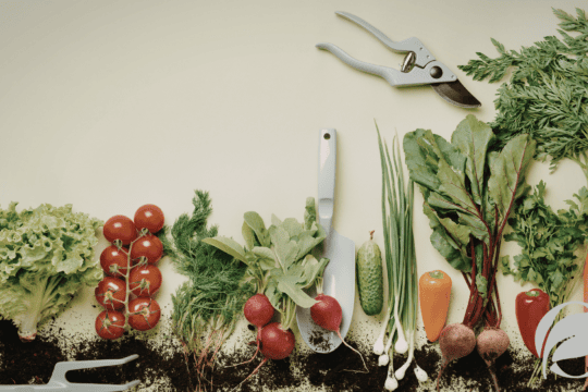natural vs organic