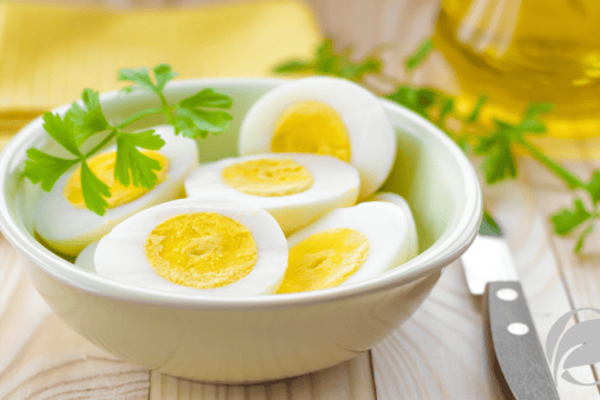organic eggs nutrition