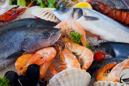 organic seafood labels