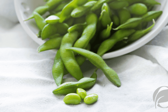 organic edamame nutrition