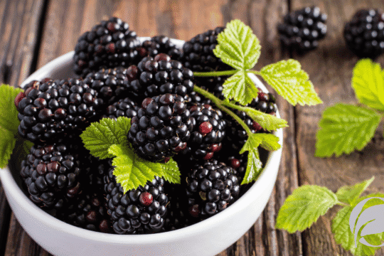 Organic Blackberries